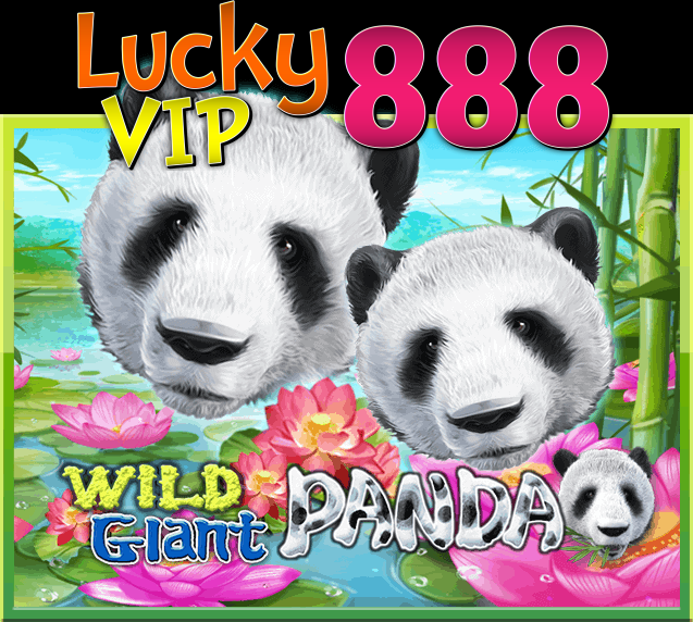 WILD GLANT PANDA